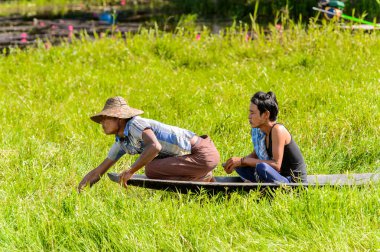 Inle Lake, Myanmar - 30 Ağustos 2016: Myanmar'ın Shan Eyaletinin Taunggyi İlçesi'nin Nyaungshwe İlçesi'nde bulunan bir tatlı su gölü olan Inle Sap'ın üzerinde bambu teknede bulunan tanımlanamayan Birmanyalı adam