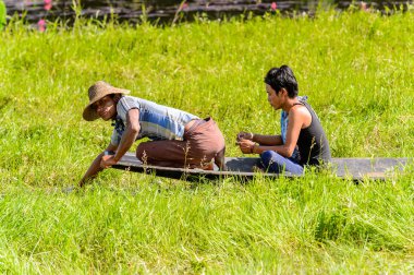 Inle Lake, Myanmar - 30 Ağustos 2016: Myanmar'ın Shan Eyaletinin Taunggyi İlçesi'nin Nyaungshwe İlçesi'nde bulunan bir tatlı su gölü olan Inle Sap'ın üzerinde bambu teknede bulunan tanımlanamayan Birmanyalı adam