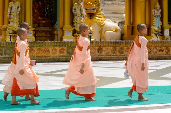 Yangon, Myanmar - 24 Ağustos 2016: Bir tapınakta tanımlanamayan Birmanyalı küçük Budist rahipler. Myanma halkının yüzde 68'i Bamar etnik grubuna mensandı