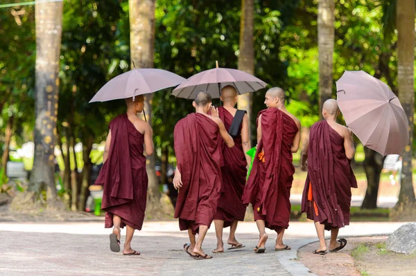 Yangon, Myanmar - 24 Ağustos 2016: Sokakta tanımlanamayan Birmanyalı Budist rahipler. Myanma halkının yüzde 68'i Bamar etnik grubuna mensandı