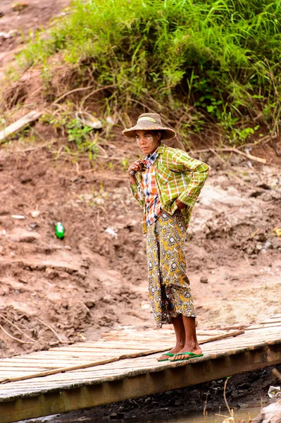 Inwa, Myanmar - 25 Ağustos 2016: Tanımlanamayan Birmanyalı kadın armut üzerinde duruyor. Myanma halkının yüzde 68'i Bamar etnik grubuna mensandı