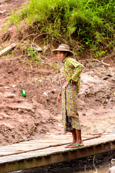 Inwa, Myanmar - 25 Ağustos 2016: Tanımlanamayan Birmanyalı kadın armut üzerinde duruyor. Myanma halkının yüzde 68'i Bamar etnik grubuna mensandı