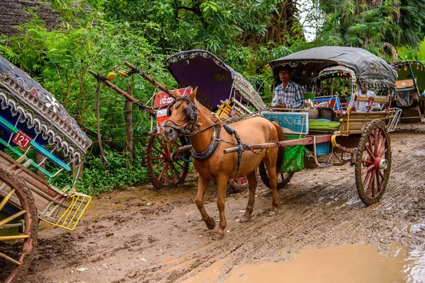 Inwa, Myanmar - 25 Ağustos 2016: Inwa, Mandalay Region, Burma yolu üzerindeki bir köyde at arabası. Bu da turistler için bir taksi seçeneği