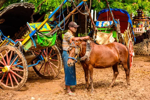 Inwa, Myanmar - Ağu 25, 2016: Tanımlanamayan Buemes adam Inwa, Mandalay Bölgesi, Burma yolunda bir köyde bir at yol için bir at hazırlar. Bu da turistler için bir taksi seçeneği