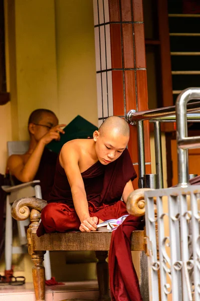 Inwa, Myanmar - 25 Ağustos 2016: Tanımlanamayan Birmanyalı Budist keşiş bir kitap okuyor. Myanma halkının yüzde 68'i Bamar etnik grubuna mensandı