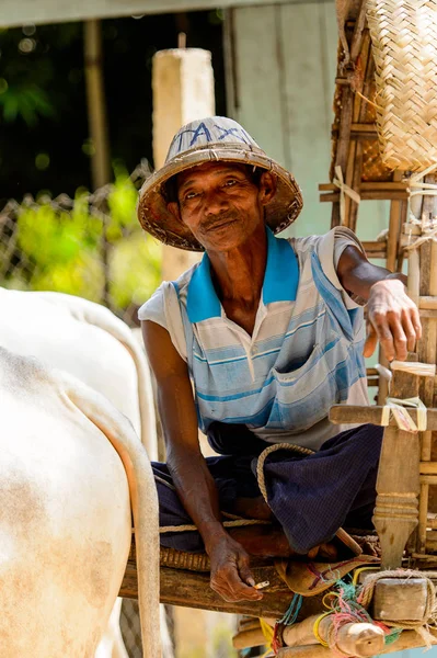 Mingun, Myanmar - 26 Ağustos 2016: Tanımlanamayan Birmanyalı adam taksi hizmeti sunuyor. Myanma halkının yüzde 68'i Bamar etnik grubuna mensandı