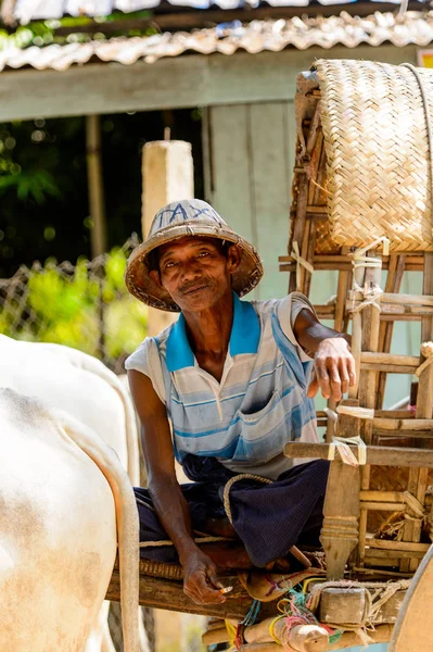 Mingun, Myanmar - 26 Ağustos 2016: Tanımlanamayan Birmanyalı adam taksi hizmeti sunuyor. Myanma halkının yüzde 68'i Bamar etnik grubuna mensandı