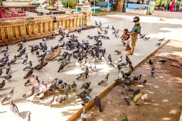 Monywa, Myanmar - 27 Ağustos 2016: Tanımlanamayan Birmanyalı çocuklar güvercinleri besliyor. Myanma halkının yüzde 68'i Bamar etnik grubuna mensandı
