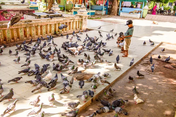 Monywa, Myanmar - 27 Ağustos 2016: Tanımlanamayan Birmanyalı çocuklar güvercinleri besliyor. Myanma halkının yüzde 68'i Bamar etnik grubuna mensandı