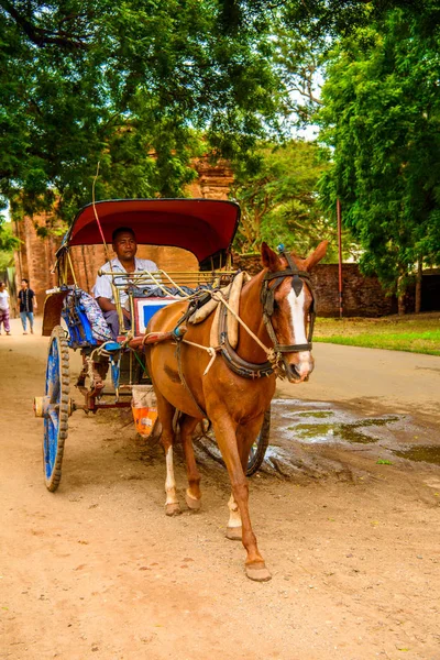 Bagan Myanmar Aug 2016 Häst Vagn Den Bagan Arkeologiska Zonen — Stockfoto