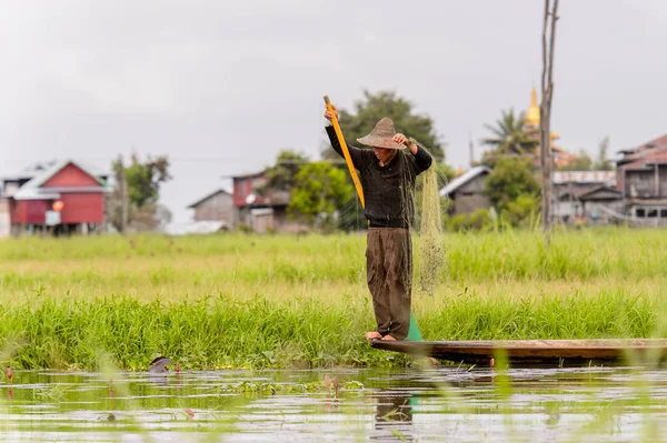 Inle Lake, Myanmar - 30 Ağustos 2016: Myanmar'ın Shan Eyaletinin Taunggyi İlçesi'nin Nyaungshwe İlçesi'nde bulunan bir tatlı su gölü olan Inle Sap'ın üzerinde bambu teknede bulunan tanımlanamayan Birmanyalı adam