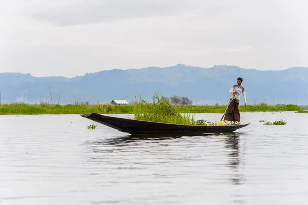 Lago Inle Myanmar Agosto 2016 Uomo Birmano Non Identificato Barca — Foto Stock