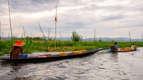 Inle Lake, Myanmar - Ağu 30, 2016: Bambu tekne kimliği belirsiz Birmanya kız Inle Sap üzerinde yelken, Shan Eyaleti Taunggyi İlçesi Nyaungshwe İlçesi'nde bulunan bir tatlı su gölü, Myanmar