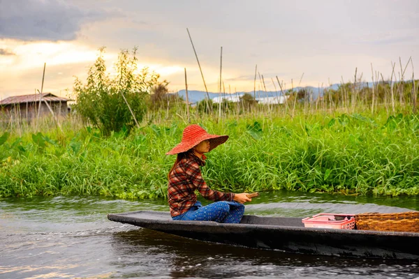 Inle Lake, Myanmar - Ağu 30, 2016: Bambu tekne kimliği belirsiz Birmanya kız Inle Sap üzerinde yelken, Shan Eyaleti Taunggyi İlçesi Nyaungshwe İlçesi'nde bulunan bir tatlı su gölü, Myanmar