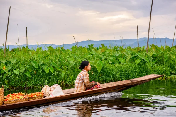 Inle Lake, Myanmar - Ağu 30, 2016: Bambu tekne kimliği belirsiz Birmanya kız Inle Sap üzerinde yelken, Shan Eyaleti Taunggyi İlçesi Nyaungshwe İlçesi'nde bulunan bir tatlı su gölü, Myanmar