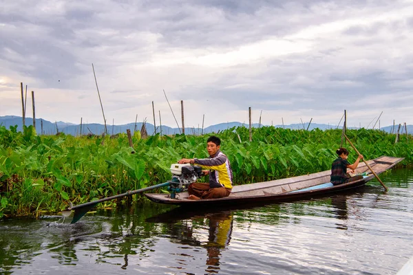 Inle Lake, Myanmar - 30 Ağustos 2016: Myanmar'ın Shan Eyaletinin Taunggyi İlçesi'nin Nyaungshwe İlçesi'nde bulunan bir tatlı su gölü olan Inle Sap'ın üzerinde bambu teknede bulunan tanımlanamayan Birmanyalı çocuk