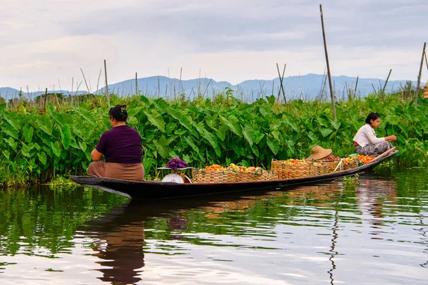 Inle Lake, Myanmar - 30 Ağustos 2016: Myanmar'ın Shan Eyaletinin Taunggyi İlçesi'nin Nyaungshwe İlçesi'nde bulunan bir tatlı su gölü olan Inle Sap'ın üzerinde bambu teknede bulunan tanımlanamayan Birmanyalı kadınlar