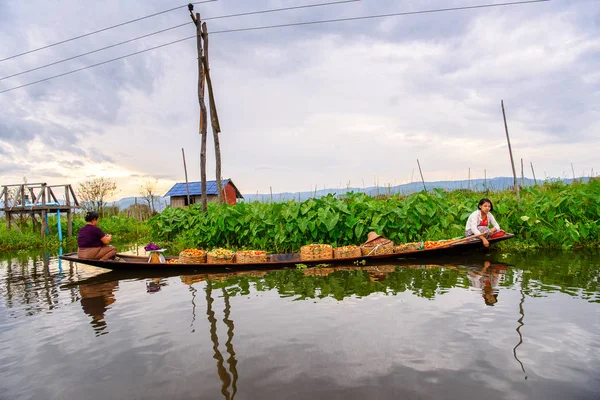 Inle Lake, Myanmar - 30 Ağustos 2016: Myanmar'ın Shan Eyaletinin Taunggyi İlçesi'nin Nyaungshwe İlçesi'nde bulunan bir tatlı su gölü olan Inle Sap'ın üzerinde bambu teknede bulunan tanımlanamayan Birmanyalı kadınlar