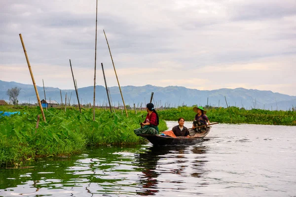 Inle Lake, Myanmar - 30 Ağustos 2016: Myanmar'ın Shan Eyaletinin Taunggyi İlçesi'nin Nyaungshwe İlçesi'nde bulunan bir tatlı su gölü olan Inle Sap'ın üzerinde bambu teknede bulunan tanımlanamayan Birmanyalı kadın