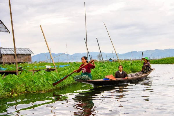 Inle Lake, Myanmar - 30 Ağustos 2016: Myanmar'ın Shan Eyaletinin Taunggyi İlçesi'nin Nyaungshwe İlçesi'nde bulunan bir tatlı su gölü olan Inle Sap'ın üzerinde bambu teknede bulunan tanımlanamayan Birmanyalı kadın