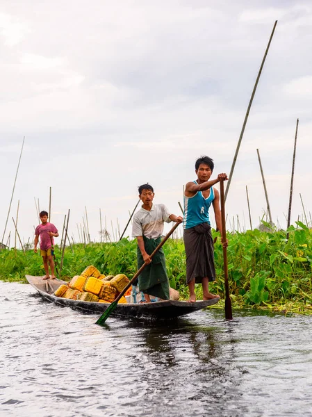Inle Lake, Myanmar - 30 Ağustos 2016: Myanmar'ın Shan Eyaletinin Taunggyi İlçesi'nin Nyaungshwe İlçesi'nde bulunan bir tatlı su gölü olan Inle Sap'ın üzerinde bambu tekneyle seyreden tanımlanamayan Birmanyalılar