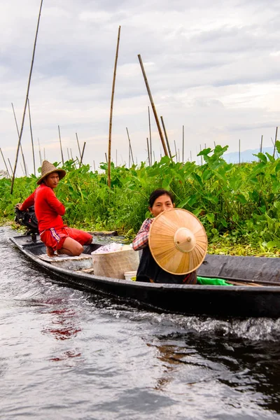 Inle Lake, Myanmar - 30 Ağustos 2016: Myanmar'ın Shan Eyaletinin Taunggyi İlçesi'nin Nyaungshwe İlçesi'nde bulunan bir tatlı su gölü olan Inle Sap'ın üzerinde bambu teknede bulunan tanımlanamayan Birmanyalı adam