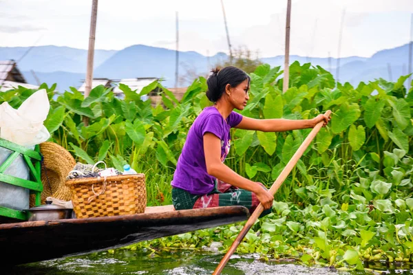 Inle Lake, Myanmar - Ağu 30, 2016: Bambu tekne kimliği belirsiz Birmanya kız Inle Sap üzerinde yelken, Shan Eyaleti Taunggyi İlçesi Nyaungshwe İlçesi'nde bulunan bir tatlı su gölü, Myanmar