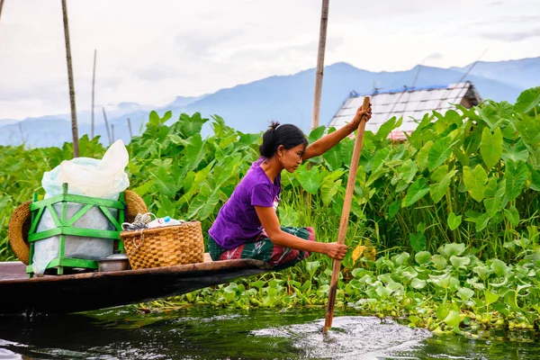 Inle Lake, Myanmar - Ağu 30, 2016: Bambu tekne kimliği belirsiz Birmanya kız Inle Sap üzerinde yelken, Shan Eyaleti Taunggyi İlçesi Nyaungshwe İlçesi'nde bulunan bir tatlı su gölü, Myanmar