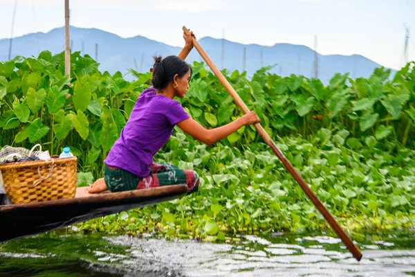 Inle Lake, Myanmar - Ağu 30, 2016: Bambu tekne kimliği belirsiz Birmanya kız Inle Sap üzerinde yelken, Shan Eyaleti Taunggyi İlçesi Nyaungshwe İlçesi'nde bulunan bir tatlı su gölü, Myanmar