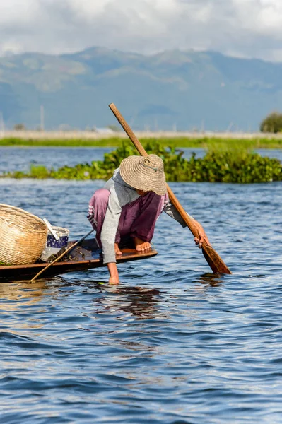 Inle Lake, Myanmar - 30 Ağustos 2016: Myanmar'ın Shan Eyaletinin Taunggyi İlçesi'nin Nyaungshwe İlçesi'nde bulunan bir tatlı su gölü olan Inle Sap'ın üzerinde bambu teknede bulunan tanımlanamayan Birmanyalı adam