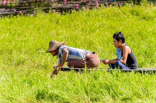 Inle Lake, Myanmar - 30 Ağustos 2016: Myanmar'ın Shan Eyaletinin Taunggyi İlçesi'nin Nyaungshwe İlçesi'nde bulunan bir tatlı su gölü olan Inle Sap'ın üzerinde bambu teknede bulunan tanımlanamayan Birmanyalı adam