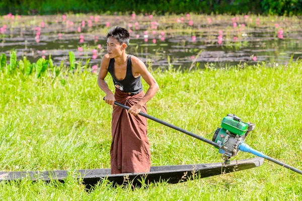Inle Lake, Myanmar - 30 Ağustos 2016: Myanmar'ın Shan Eyaletinin Taunggyi İlçesi'nin Nyaungshwe İlçesi'nde bulunan bir tatlı su gölü olan Inle Sap'ın üzerinde bambu teknede bulunan tanımlanamayan Birmanyalı adam