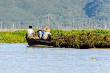 Inle Lake, Myanmar - 30 Ağustos 2016: Kimliği belirsiz Birmanyalılar, Shan Eyaleti'nin Taunggyi İlçesi'nin Nyaungshwe İlçesi'nde bulunan bir tatlı su gölü olan Inle Sap'ın üzerinde yelken açtılar.