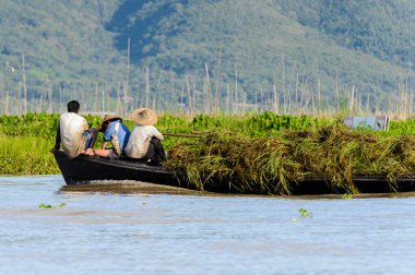 Inle Lake, Myanmar - 30 Ağustos 2016: Kimliği belirsiz Birmanyalılar, Shan Eyaleti'nin Taunggyi İlçesi'nin Nyaungshwe İlçesi'nde bulunan bir tatlı su gölü olan Inle Sap'ın üzerinde yelken açtılar.
