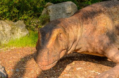 Bratislava, Slovakya - 28 Eylül 2016: Allosaurus, Bratislava, Slovakya'daki Dinopark'ta. Allosaurus, büyük theropod dinozorcadı .