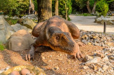 Bratislava, Slovakya - 28 Eylül 2016: Allosaurus, Bratislava, Slovakya'daki Dinopark'ta. Allosaurus, büyük theropod dinozorcadı .