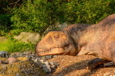 Bratislava, Slovakya - 28 Eylül 2016: Allosaurus, Bratislava, Slovakya'daki Dinopark'ta. Allosaurus, büyük theropod dinozorcadı .