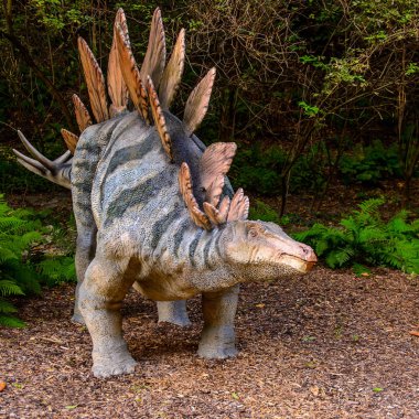 Bratislava, Slovakya - 28 Eylül 2016: Bratislava Dinopark'ta Stegosaurus, Slovakya.Stegosaurus Geç Jura dönemi zırhlı kemikli dinozor cinsine ait