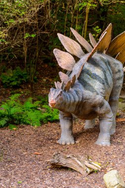 Bratislava, Slovakya - 28 Eylül 2016: Bratislava Dinopark'ta Stegosaurus, Slovakya.Stegosaurus Geç Jura dönemi zırhlı kemikli dinozor cinsine ait