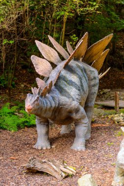 Bratislava, Slovakya - 28 Eylül 2016: Bratislava Dinopark'ta Stegosaurus, Slovakya.Stegosaurus Geç Jura dönemi zırhlı kemikli dinozor cinsine ait