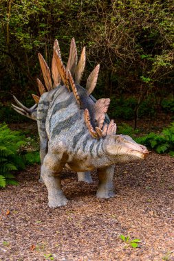 Bratislava, Slovakya - 28 Eylül 2016: Bratislava Dinopark'ta Stegosaurus, Slovakya.Stegosaurus Geç Jura dönemi zırhlı kemikli dinozor cinsine ait