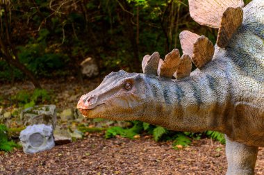 Bratislava, Slovakya - 28 Eylül 2016: Bratislava Dinopark'ta Stegosaurus, Slovakya.Stegosaurus Geç Jura dönemi zırhlı kemikli dinozor cinsine ait
