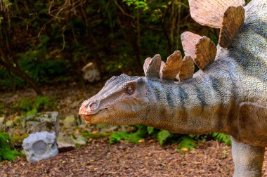 Bratislava, Slovakya - 28 Eylül 2016: Bratislava Dinopark'ta Stegosaurus, Slovakya.Stegosaurus Geç Jura dönemi zırhlı kemikli dinozor cinsine ait