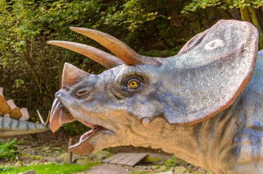 Bratislava, Slovakya - 28 Eylül 2016: Bratislava, Slovakya'daki Dinopark'ta Triceratops. Triceratops, otobur ceratopsid dinozorcunun bir cinsine sahip