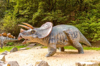 Bratislava, Slovakya - 28 Eylül 2016: Bratislava, Slovakya'daki Dinopark'ta Triceratops. Triceratops, otobur ceratopsid dinozorcunun bir cinsine sahip