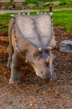 Bratislava, Slovakya - 28 Eylül 2016: Bratislava, Slovakya'nın popüler turistik yerlerinden biri olan Dinopark'taki Chasmosaurus.