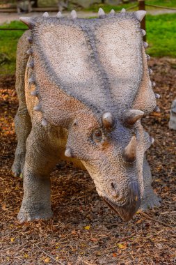 Bratislava, Slovakya - 28 Eylül 2016: Bratislava, Slovakya'nın popüler turistik yerlerinden biri olan Dinopark'taki Chasmosaurus.