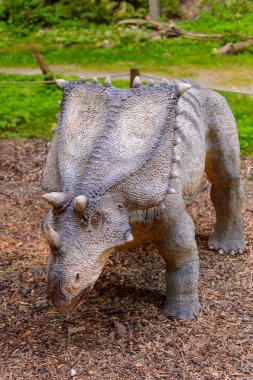 Bratislava, Slovakya - 28 Eylül 2016: Bratislava, Slovakya'nın popüler turistik yerlerinden biri olan Dinopark'taki Chasmosaurus.