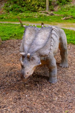 Bratislava, Slovakya - 28 Eylül 2016: Bratislava, Slovakya'nın popüler turistik yerlerinden biri olan Dinopark'taki Chasmosaurus.