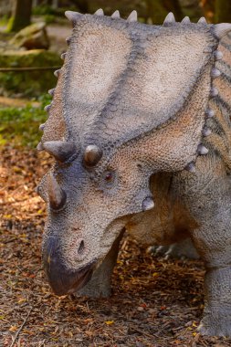 Bratislava, Slovakya - 28 Eylül 2016: Bratislava, Slovakya'nın popüler turistik yerlerinden biri olan Dinopark'taki Chasmosaurus.